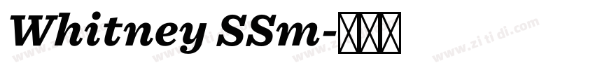 Whitney SSm字体转换